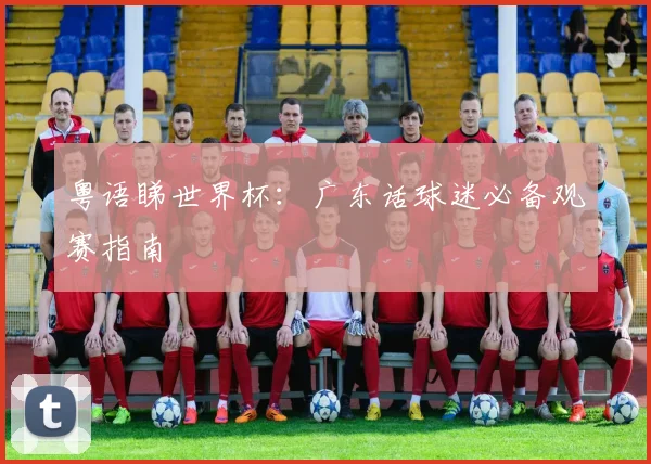 粤语睇世界杯：广东话球迷必备观赛指南