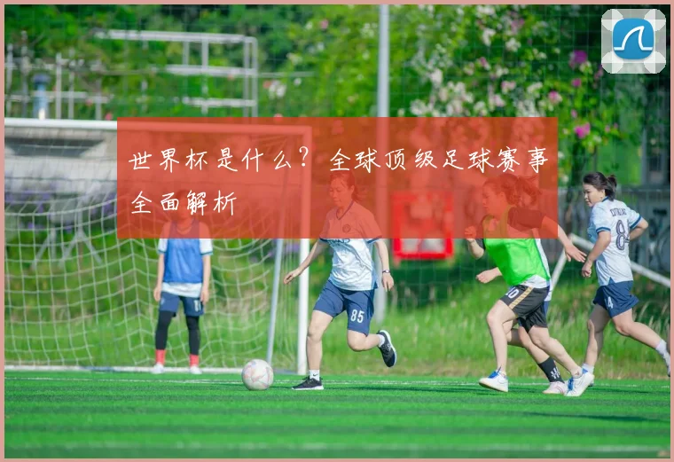 世界杯是什么？全球顶级足球赛事全面解析