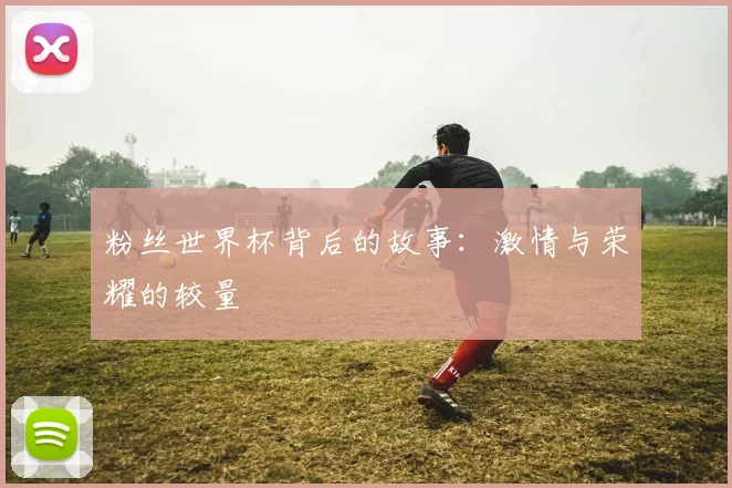 粉丝世界杯背后的故事：激情与荣耀的较量