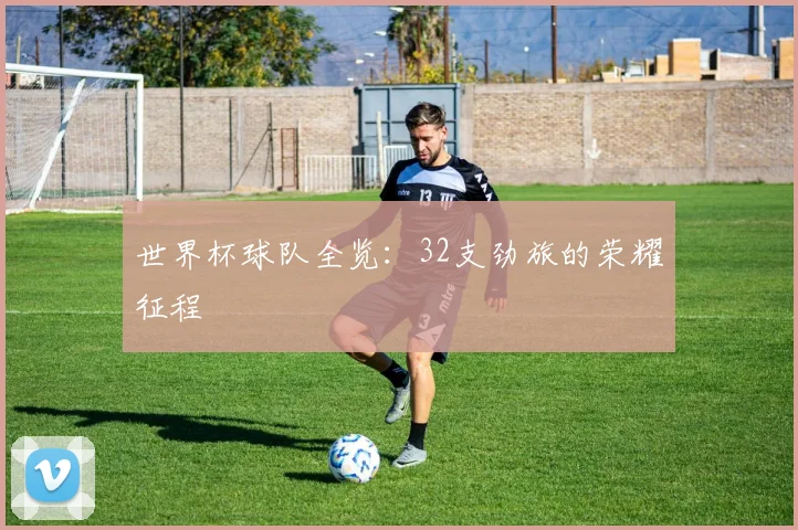 世界杯球队全览：32支劲旅的荣耀征程