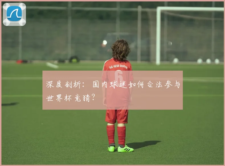 深度剖析：国内球迷如何合法参与世界杯竞猜？