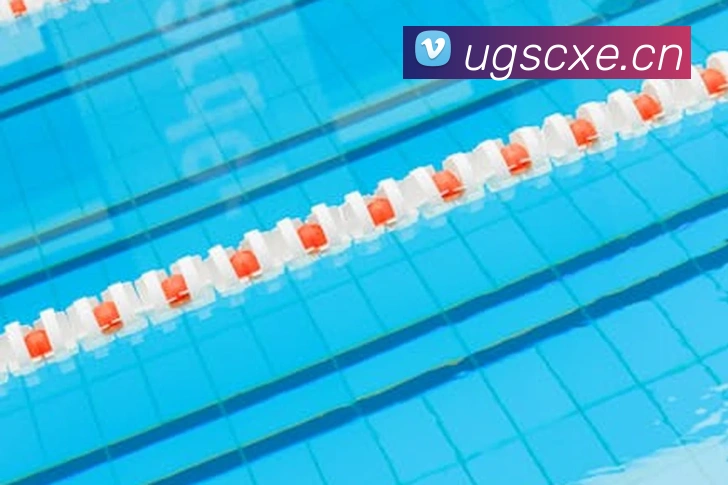 星空官网首页入口APP 封面图